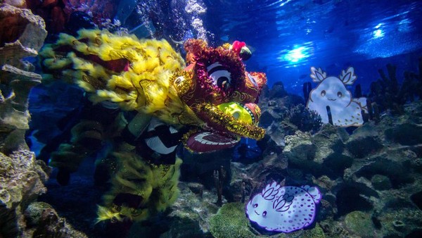 Barongsai melakukan atraksi di bawah air di Aquaria KLCC, Kuala Lumpur, Rabu (18/1/2023).