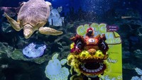 Atraksi barongsai menari di bawah air ini untuk memperingati perayaan Tahun Baru Imlek yang jatuh pada tanggal 22 januari 2023.  