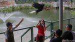 Melihat Ragam Koleksi Burung di Jakarta Bird Land Ancol