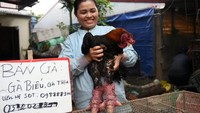 Seorang pedagang memperlihatkan seekor ayam Dong Tao untuk dijual. Ayam jenis ini tergolong langka. Dulunya hanya untuk dikembangbiakkan khusus kebutuhan konsumsi keluarga kerajaan. Namun sekarang sudah disajikan di restoran-restoran mewah yang kebanyakan pelanggannya orang-orang kaya.  