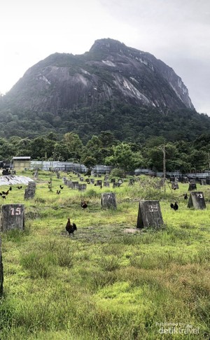 Pesona Bukit Kelam, Batu Raksasa dengan Keindahan Memukau