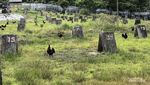 Pesona Bukit Kelam, Batu Raksasa dengan Keindahan Memukau