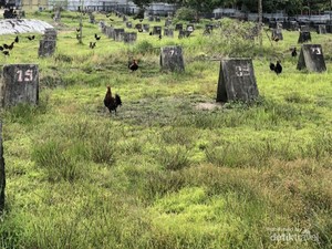 Pesona Bukit Kelam, Batu Raksasa dengan Keindahan Memukau