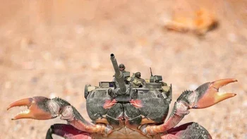 Tank kepiting....Foto: Reddit/Animalsinthings