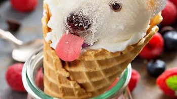 Beruang jadi ice cream, tega ga makannya? Foto: Reddit/Animalsinthings