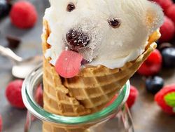 Karya Dewa Photoshop Padukan Hewan ke Objek Sehari-hari Bikin Puas Mata