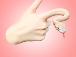 Karya Dewa Photoshop Padukan Hewan ke Objek Sehari-hari Bikin Puas Mata