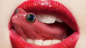 Katak jadi lidah... berani french kiss? Foto: Reddit/Animalsinthings 