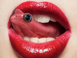 Karya Dewa Photoshop Padukan Hewan ke Objek Sehari-hari Bikin Puas Mata