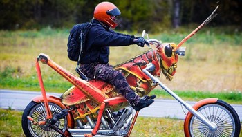 Belalang tempur....Foto: Reddit/Animalsinthings