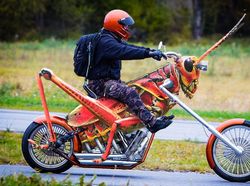 Karya Dewa Photoshop Padukan Hewan ke Objek Sehari-hari Bikin Puas Mata