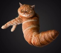 Photoshop Hewan
