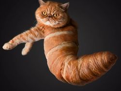 Karya Dewa Photoshop Padukan Hewan ke Objek Sehari-hari Bikin Puas Mata