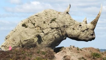 Cocok ya badak jadi batu.  Foto: Reddit/Animalsinthings