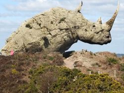 Karya Dewa Photoshop Padukan Hewan ke Objek Sehari-hari Bikin Puas Mata