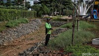 Sejumlah pekerja merapikan ruang terbuka hijau Taman Link In Park di Rawasari, Jakarta Pusat, Rabu (18/1/2023).