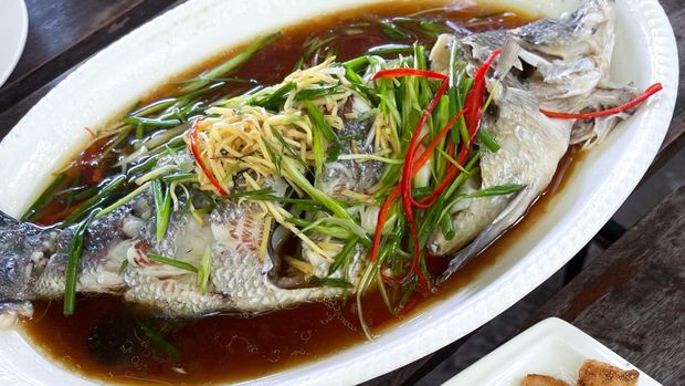 Resep Ikan Kakap Kukus Bumbu Soya