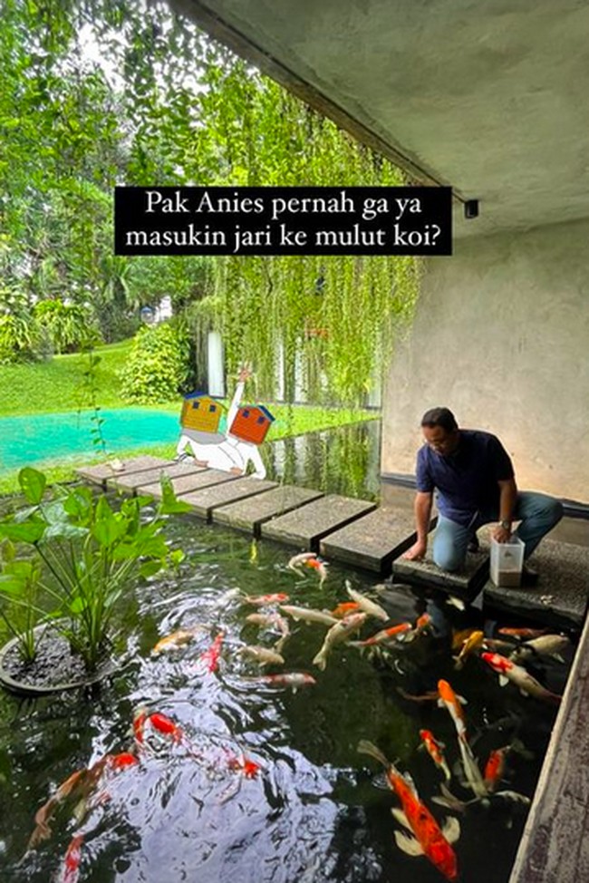 Rumah Anies juga berkonsep open space sehingga terasa menyatu dengan alam. Terdapat kolam ikan koi yang semakin menambah keasrian rumah.  Foto: Instagram/@biasalahanakmuda