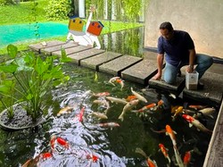 8 Potret Rumah Anies Baswedan yang Asri, Ada Pendopo Bersejarah