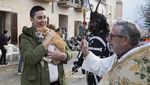 Tradisi Unik Pemberkatan Hewan di Gereja Spanyol