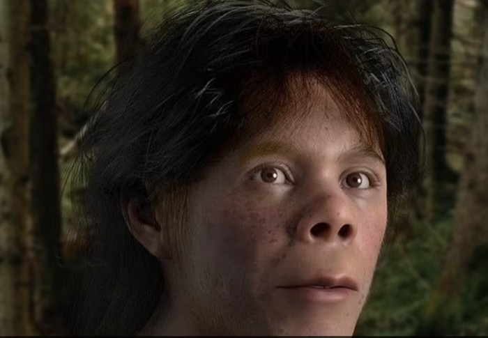 Bocah Neanderthal