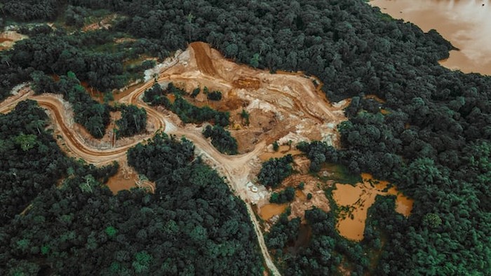 Deforestasi, hutan gundul.
