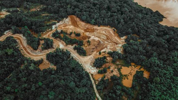 Deforestasi, hutan gundul.