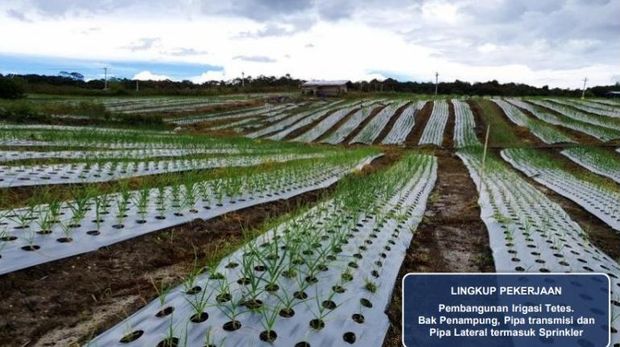 Food Estate NTT (PUPR)