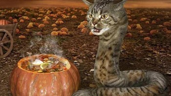 Tokoh di sinetron silat... Siluman kucing berbadan ular....Foto: Boredpanda 