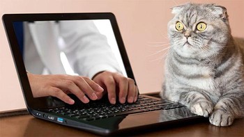 Pengguna laptop bisa mengetik dari jarak jauh melalui layar.... Foto: Boredpanda