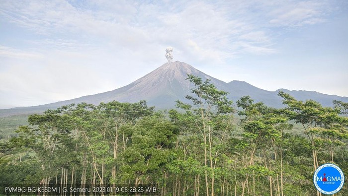 Gunung Semeru kembali mengalami erupsi. Erupsi terjadi pukul 06.28 WIB, Kamis (19 Januari 2023).
