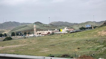 Pemandangan masjid di tepi perbukitan yang berubah menjadi hijau setelah hujan lebat di Makkah, Arab Saudi Foto: Hani Alshaer/Anadolu Agency via Getty Images 