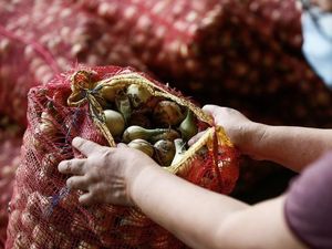 Parah! Harga Bawang di Filipina Lebih Mahal dari Daging