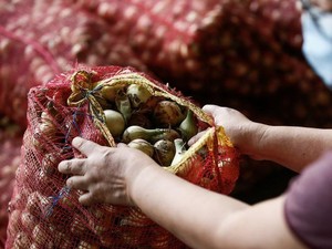 Parah! Harga Bawang di Filipina Lebih Mahal dari Daging