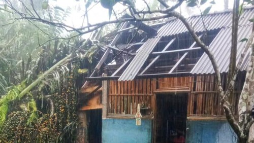 Hujan deras yang mengguyur Karangasem membuat sejumlah pohon tumbang. Akibatnya, ada rumah warga yang tertimpa dan akses jalan yang terhadang.