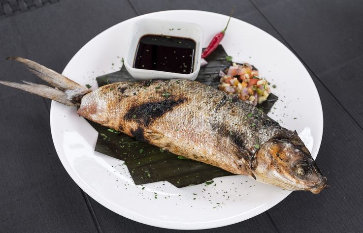 ikan bandeng