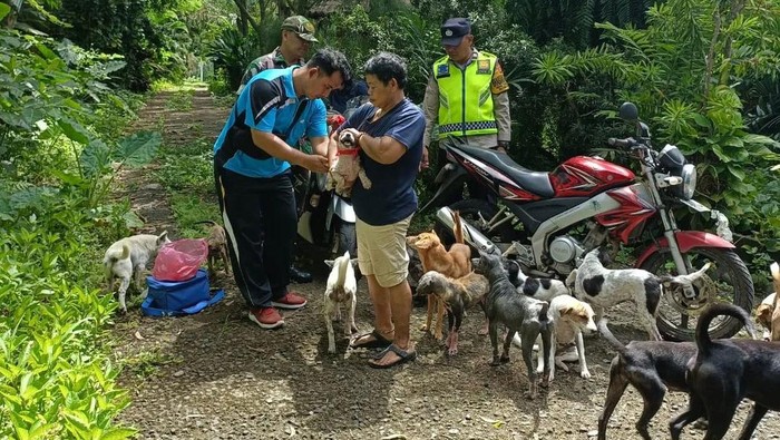 Kegiatan vaksinasi rabies pada anjing di Kecamatan Selemadeg Timur, Kamis (19/1/2023). (istimewa)