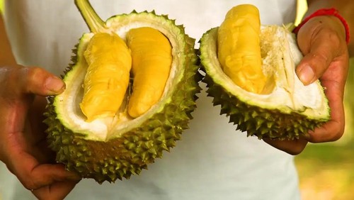 Ketahuan Makan Durian di Hotel, Artis Malaysia Ini Didenda Rp 3,5 Juta