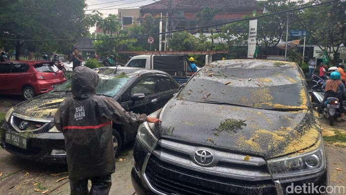 Kondisi mobil rusak usai tertimpa pohon tumbang di Jalan MT Haryono, Kelurahan Manahan, Kecamatan Banjarsari, Solo, Kamis (19/1/2023).