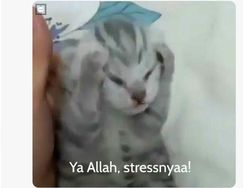 Meme Kocak Jantung Aman Habis Liat Aksi Minions?