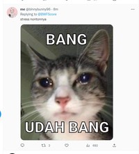 Meme Minions