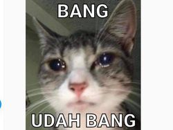 Meme Kocak Jantung Aman Habis Liat Aksi Minions?