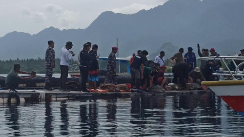 Pelepasan 8 ekor penyu di Teluk Penerusan Desa Sumberkima, Kabupaten Buleleng Kamis (19/1/2023).