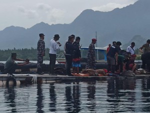 Duh Kasihan, 1 Penyu Selundupan di Buleleng Idap Tumor Tak Ikut Dilepas