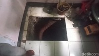 Selain itu polisi juga mengungkap ada empat jenazah berupa kerangka di tiga lubang di Cianjur. Polisi juga masih perlu mengidentifikasi lebih lanjut kerangka yang ditemukan itu. (Ikbal Selamet/detikcom)  