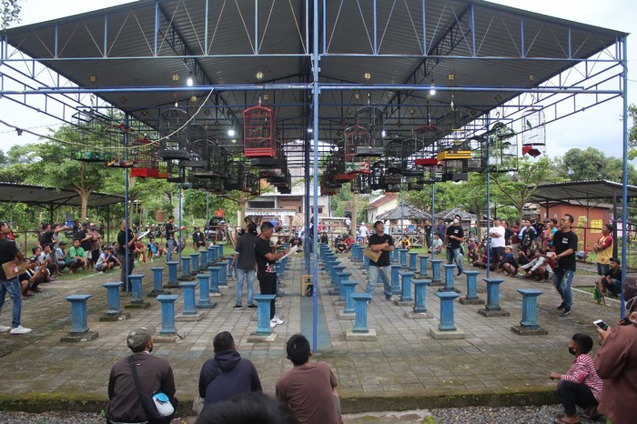 Sahabat Ganjar