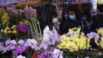Semarak Pasar Bunga di Hong Kong Sambut Perayaan Imlek
