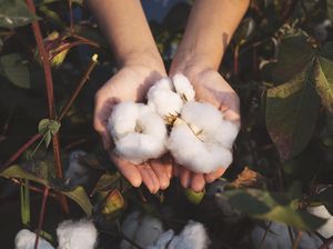 Video: Brand Fashion Lokal Ini Tanam Kapas Sendiri untuk Produksi Pakaian