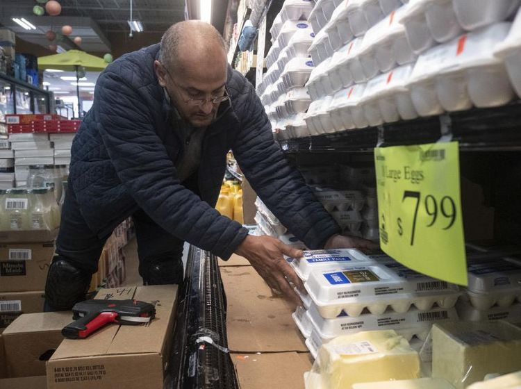 Waduh! Harga Telur di Amerika Serikat Naik 81%