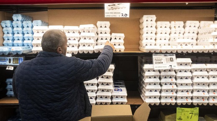 Waduh! Harga Telur di Amerika Serikat Naik 81% Harga telur di Amerika Serikat 81% dalam 12 minggu terakhir tahun ini. Hal ini disebabkan karena adanya wabah burung dan melonjaknya biaya pakan.
